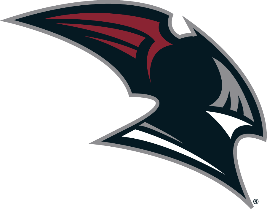 Bellarmine Knights 2004-2010 Secondary Logo v2 diy iron on heat transfer